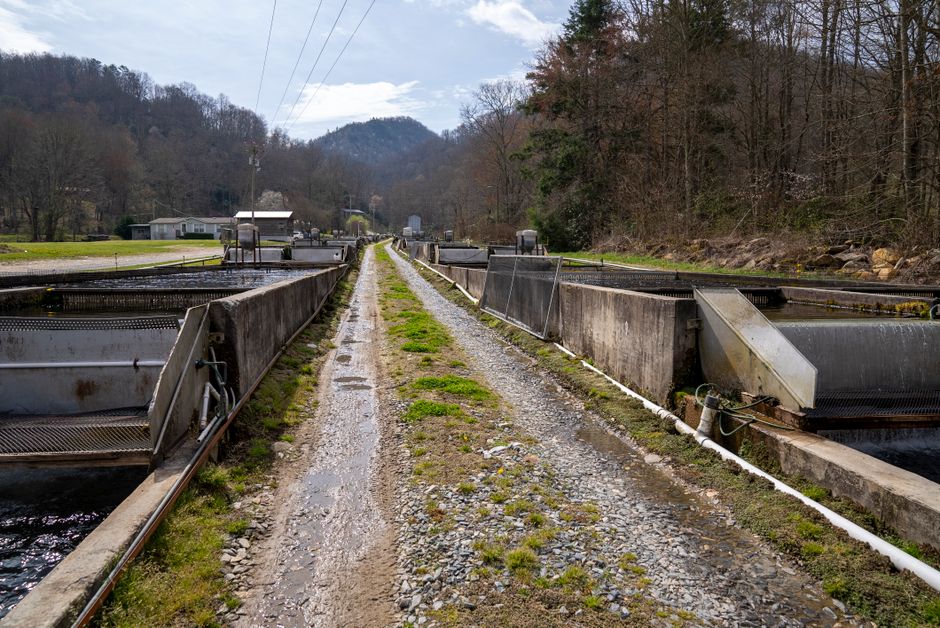 閉鎖された養殖施設(挿絵写真)