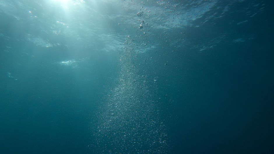 深海・海洋資源（挿絵写真）