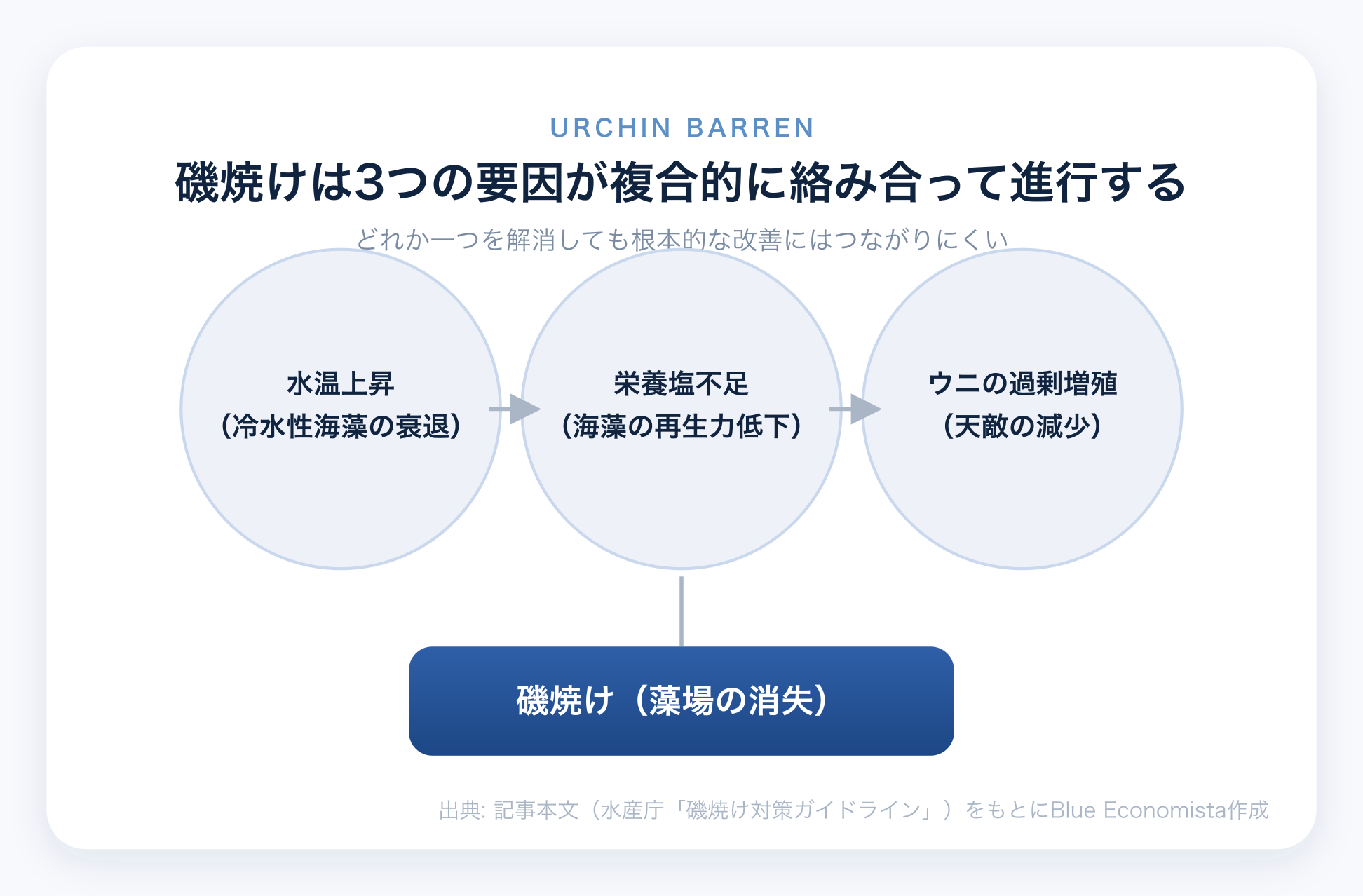 磯焼けは水温上昇・栄養塩不足・ウニの過剰増殖の3要因が複合的に絡み合って進行することを示す図解